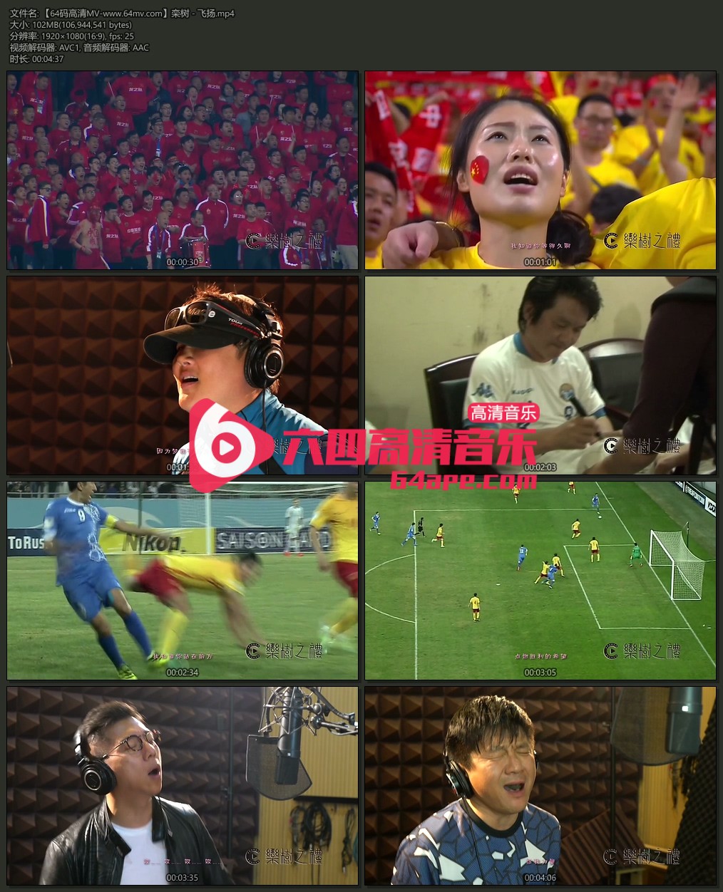 栾树 《飞扬》 1080P