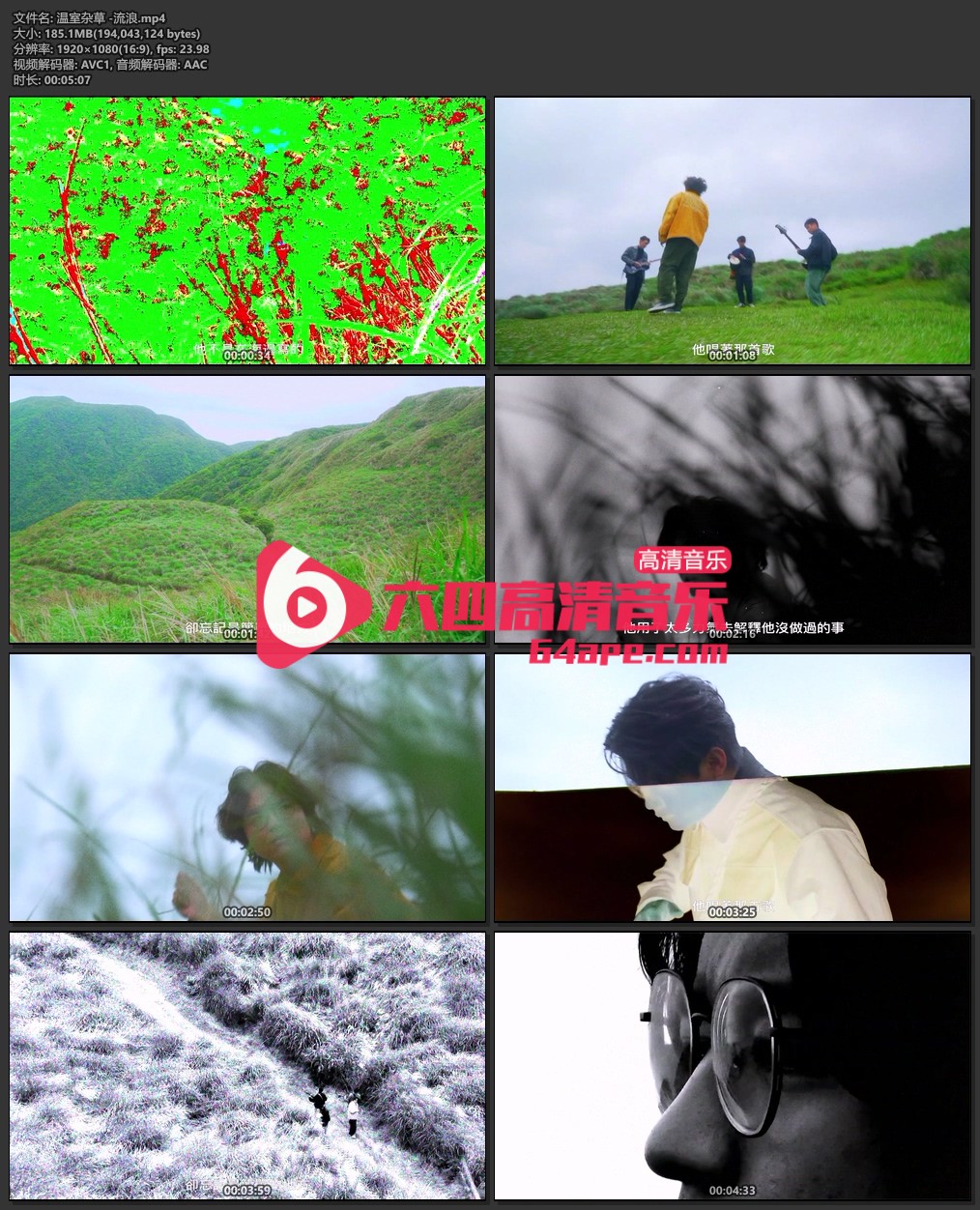 温室杂草《流浪》1080P