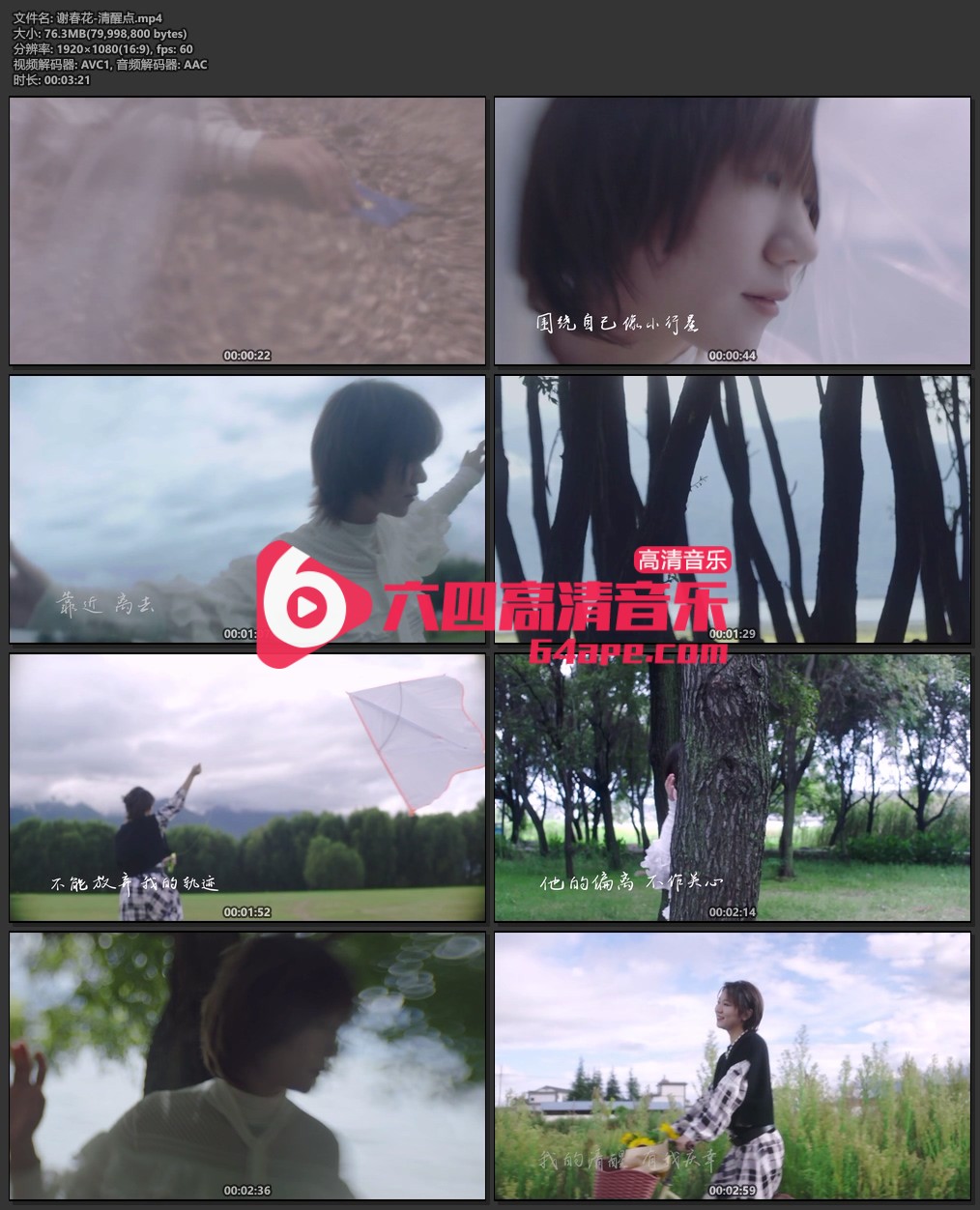 谢春花《清醒点》1080P