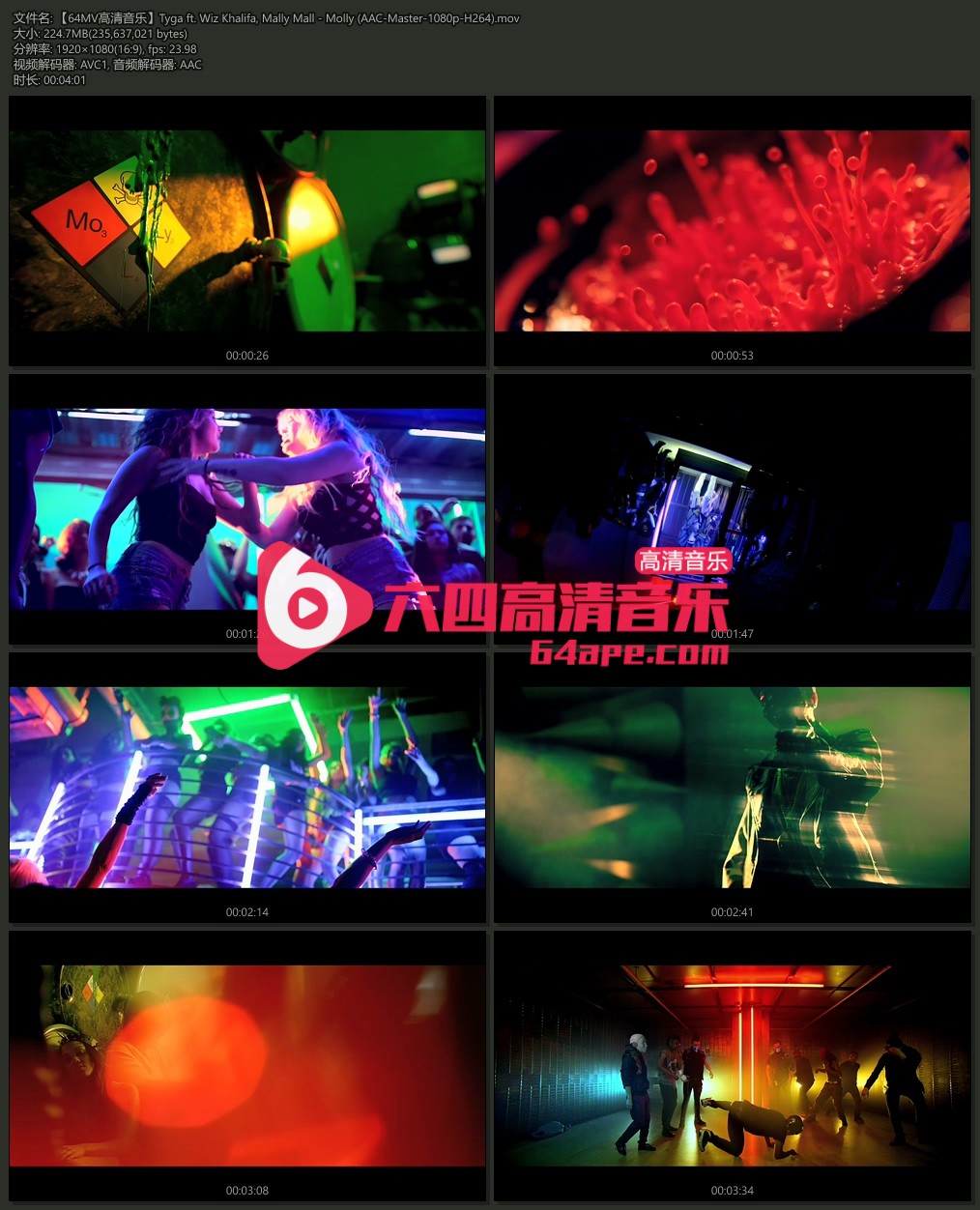 Tyga ft. Wiz Khalifa Mally Mall 《Molly》 1080P