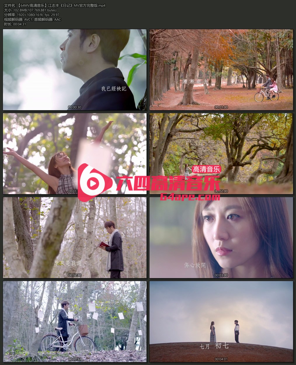 江志丰 《日记》 1080P