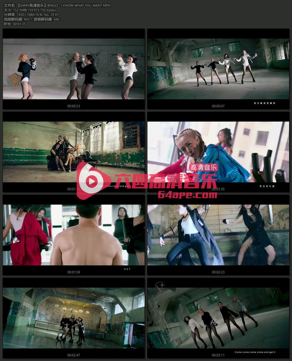 BINGO 《I KNOW WHAT YOU WANT》 1080P