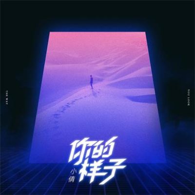 小倩《你的样子 (DJheap九天版)》[FLAC/MP3-320K]