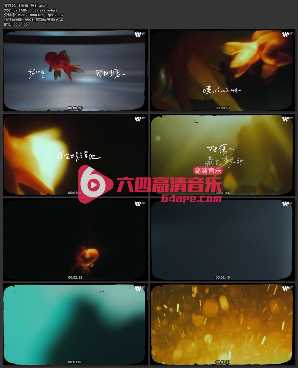 江美琪《魚缸》1080P