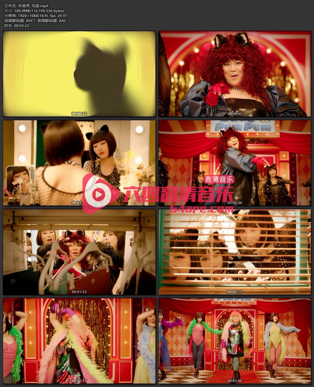 林美秀《鸟猫》1080P