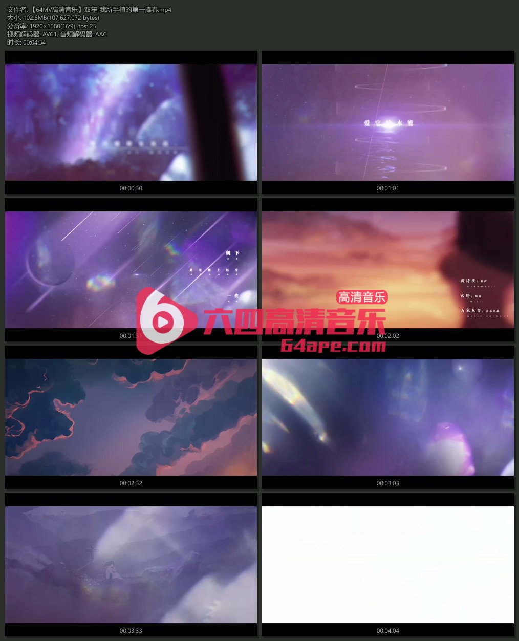 双笙《我所手植的第一捧春》1080P