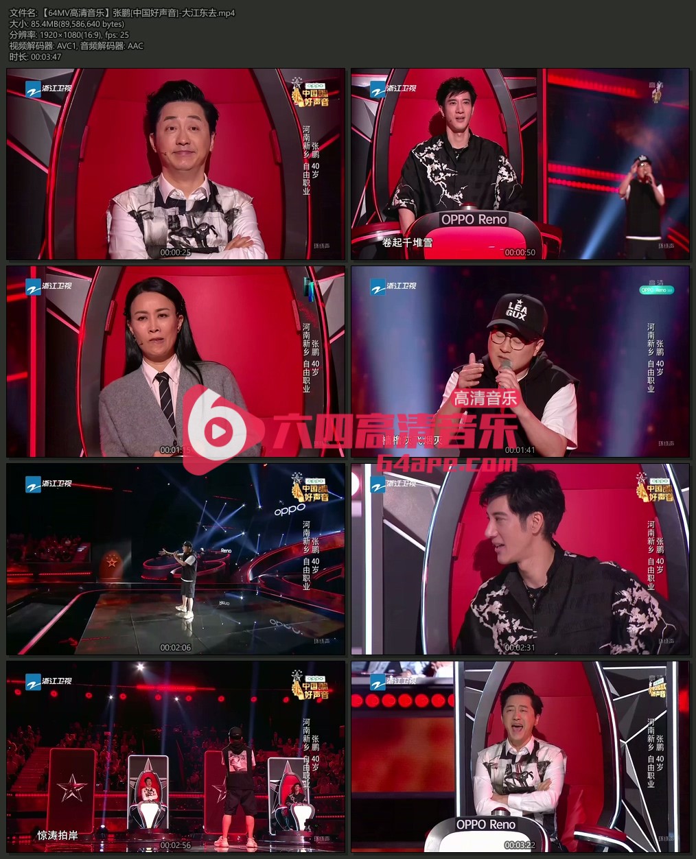 张鹏《大江东去》1080P