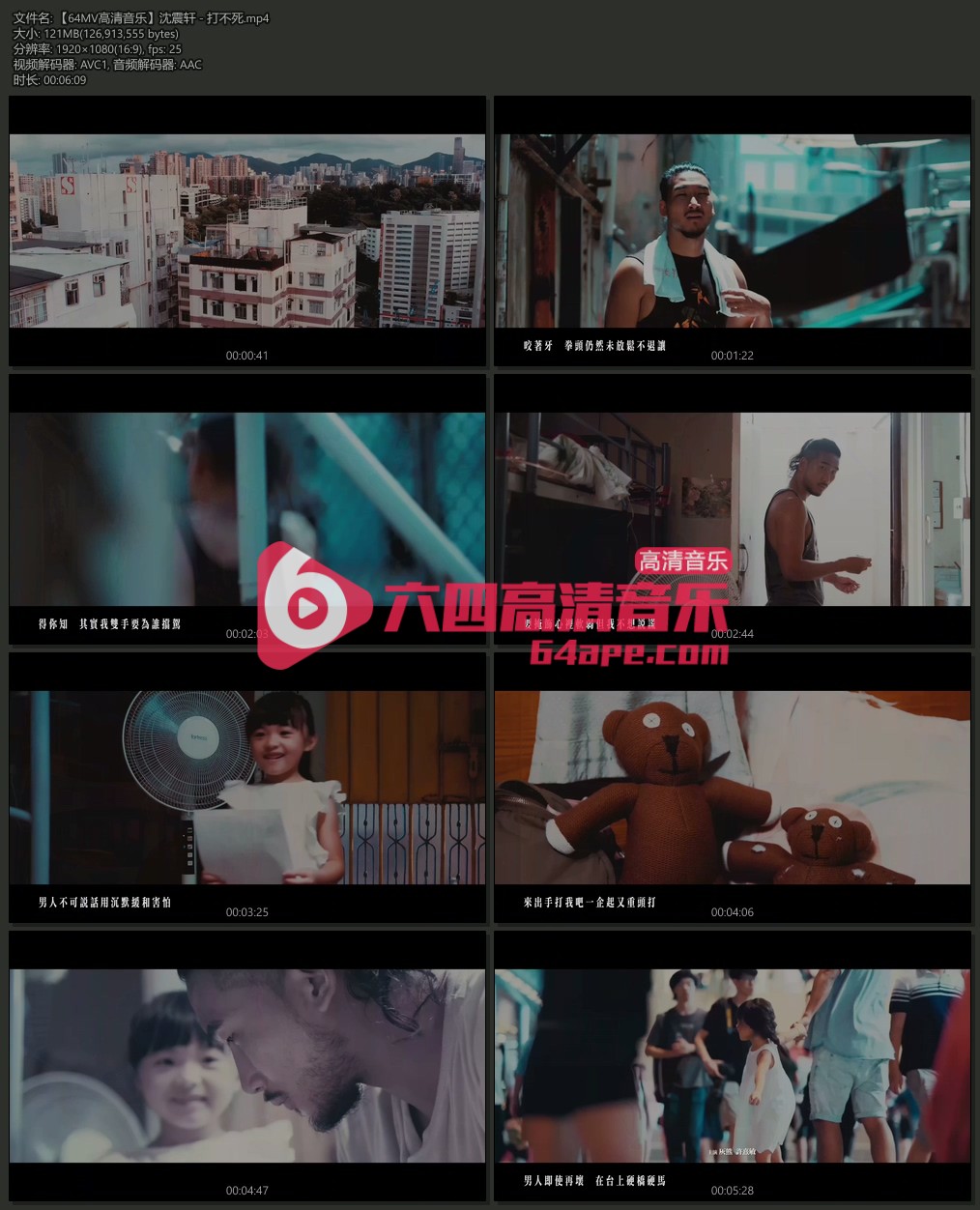 沈震轩《打不死》1080P