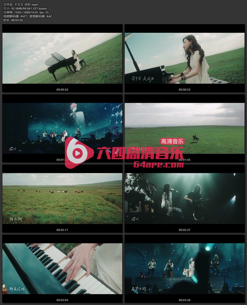 于文文《你好》1080P