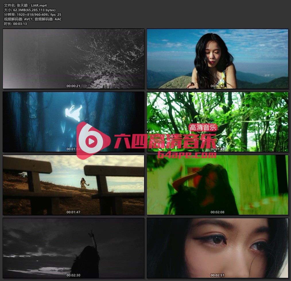 张天颖《LIAR》1080P