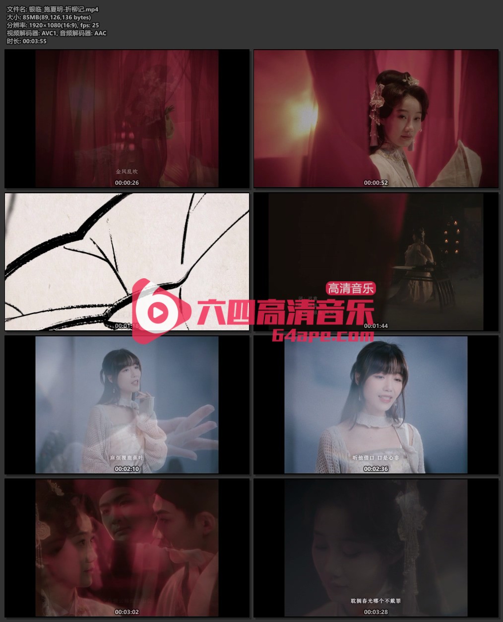 银临 施夏明《折柳记》1080P