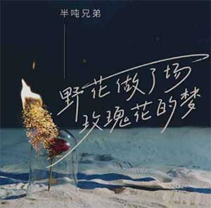 半吨兄弟《野花做了场玫瑰花的梦》[无损FLAC/MP3]